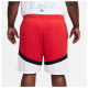 Nike Ανδρικό σορτς Dri-FIT Icon+ 8'' Shorts